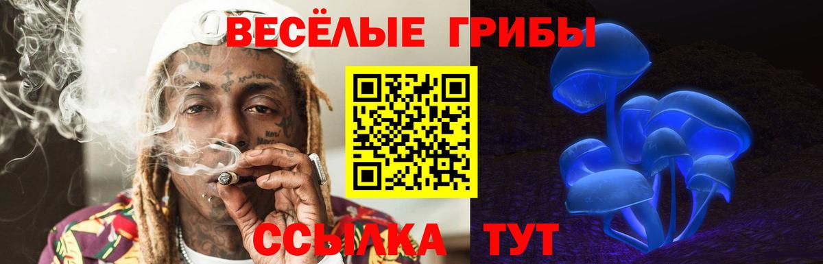 Псилоцибиновые грибы Psilocybine cubensis  Псилоцибиновые грибы Psilocybine cubensis  Вход с VPN  закладки  Донецк 
